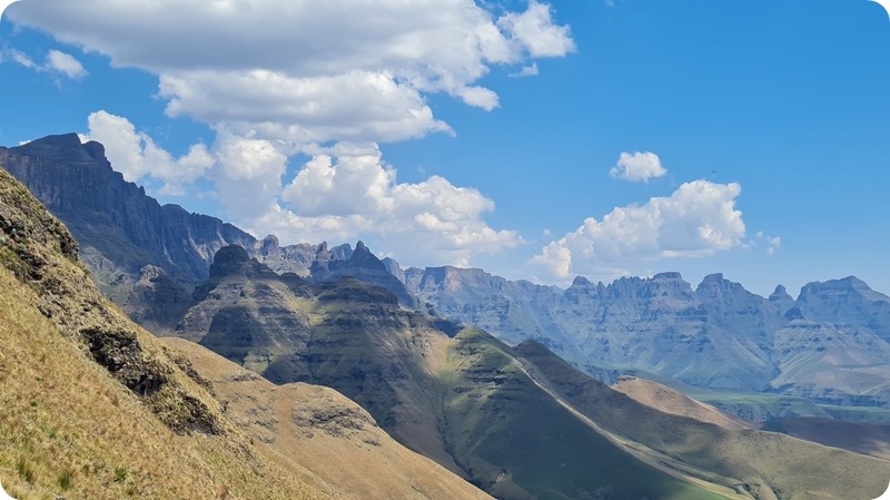 From Organ Pipes Pass: James Seymour