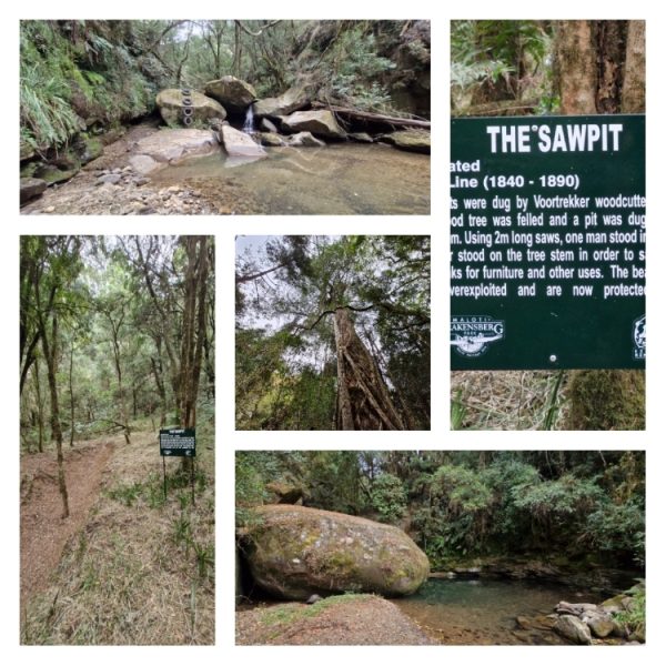 Contour Path, Central Drakensberg. James Seymour