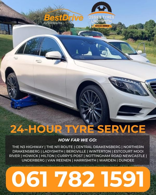 WhatsApp Image 2026-02-20 at 07.27.51