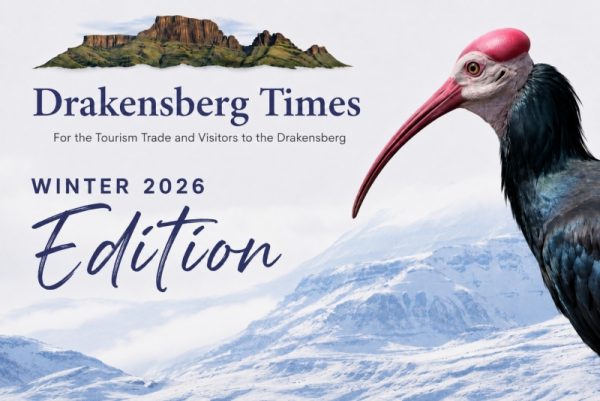 Drakensberg Times Winter 2026 Edition