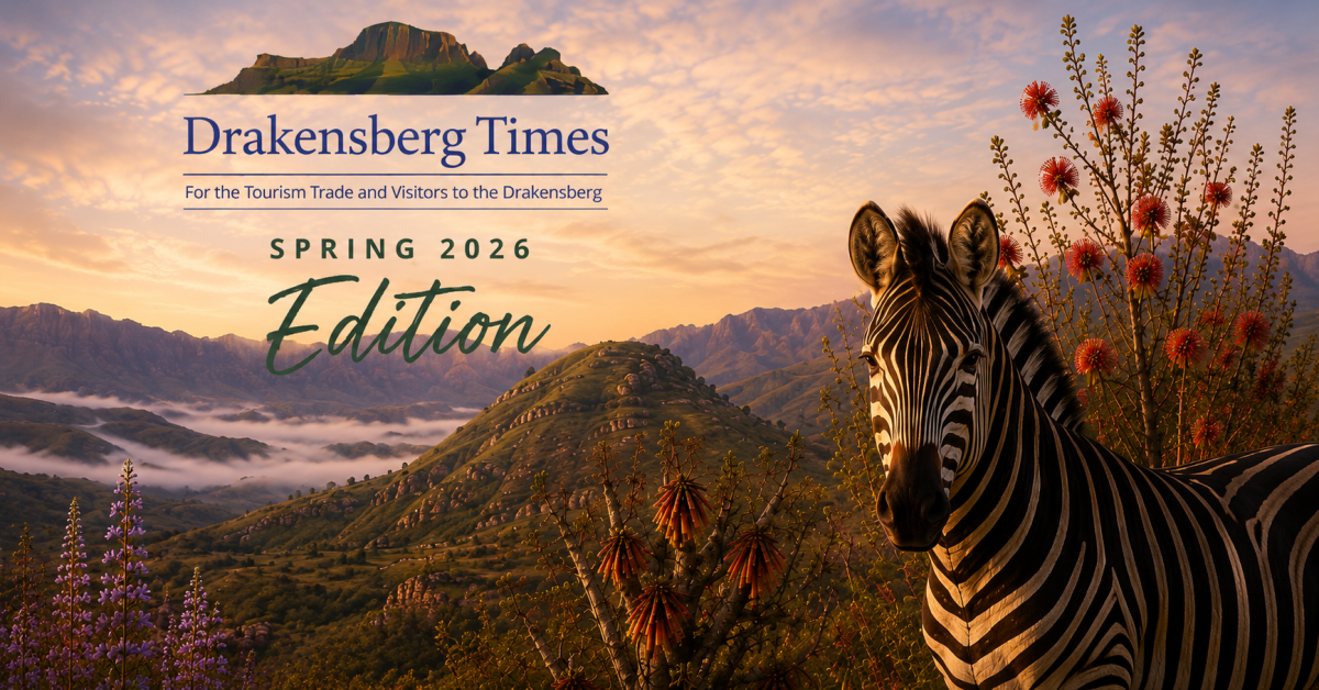 Drakensberg Times: Spring 2026
