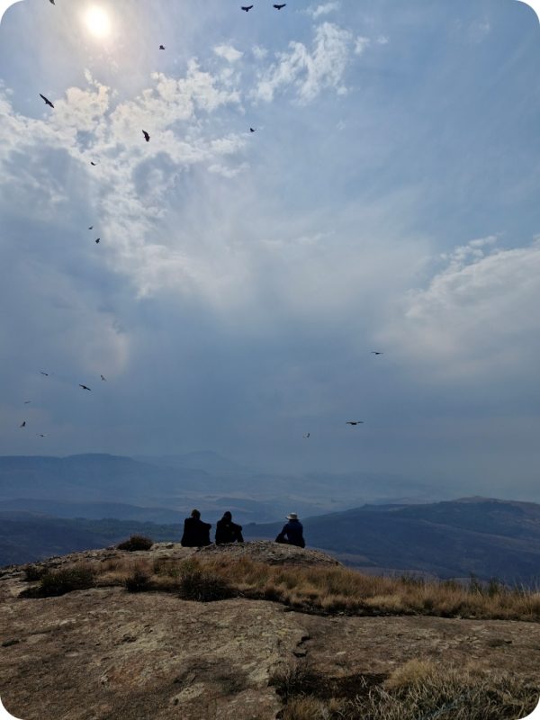 Vulture Spotting, Culfargie, Central Drakensberg. James Seymour